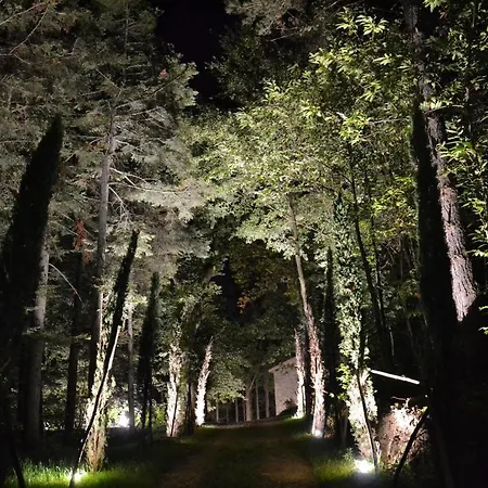 Holiday home Bella Tuscany - *