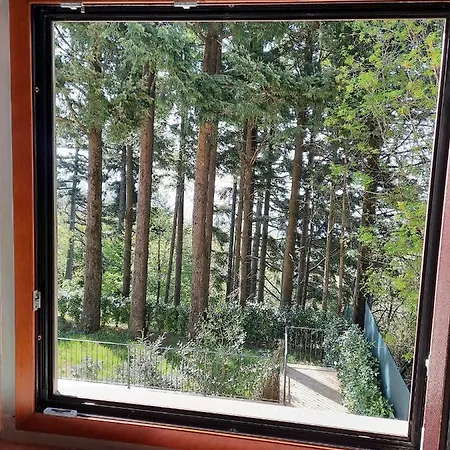 Holiday home Bella Tuscany - *